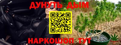 молекула духа Усть-Илимск