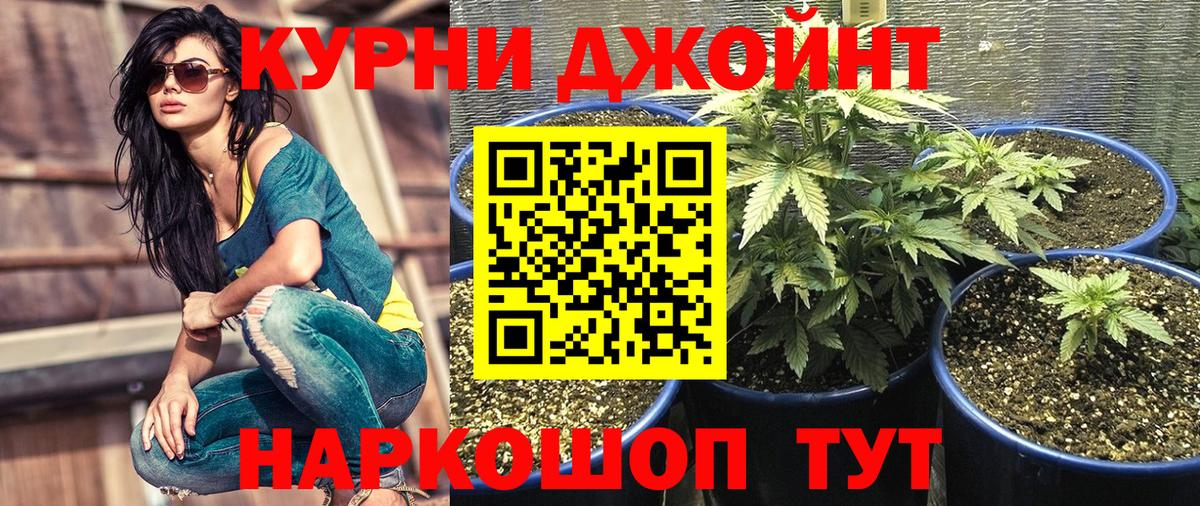 Бошки Шишки White Widow  Бошки марихуана SATIVA & INDICA  Мытищи  Бошки Шишки сатива  Вход с VPN  Канабис индика 